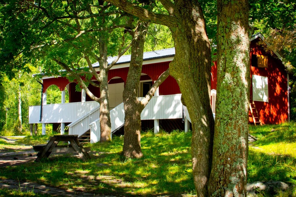 sommarläger läxhjälp Stockholm