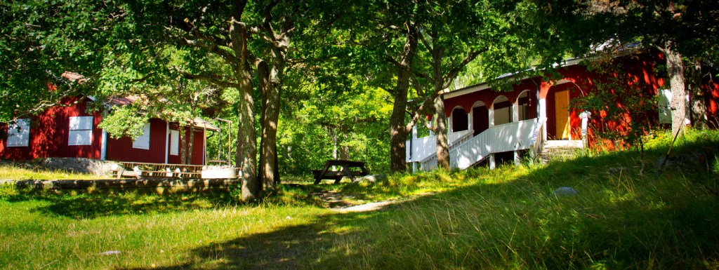 Sommarläger med läxhjälp Barn får läxhjälp på sommarläger i Stockholm.