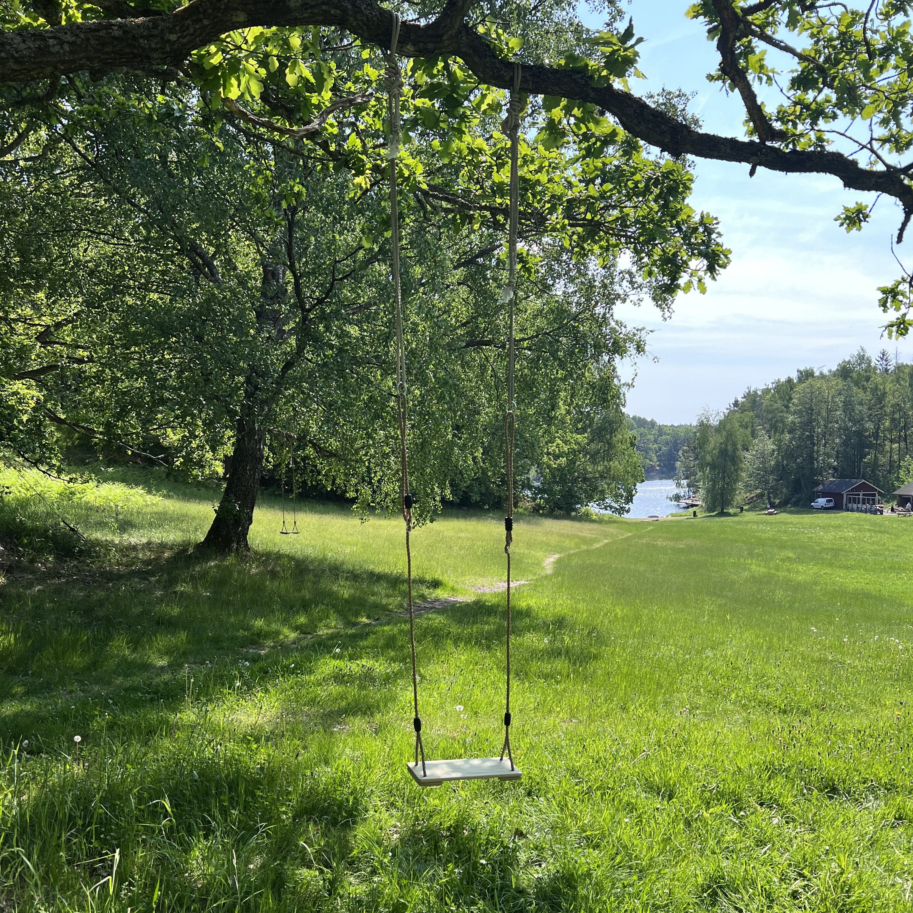 Glada barn under utomhusaktiviteter på sommarläger med läxhjälp